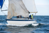 prime cut gbr3709 whyw16 thur 800 3197w